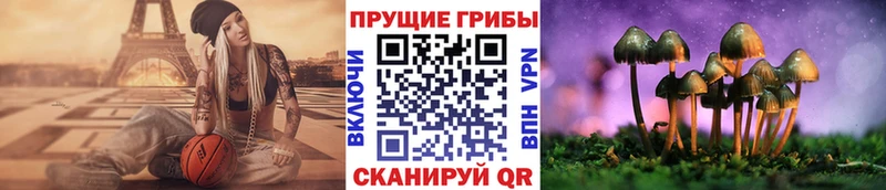 Галлюциногенные грибы MAGIC MUSHROOMS  OMG tor  Азов 
